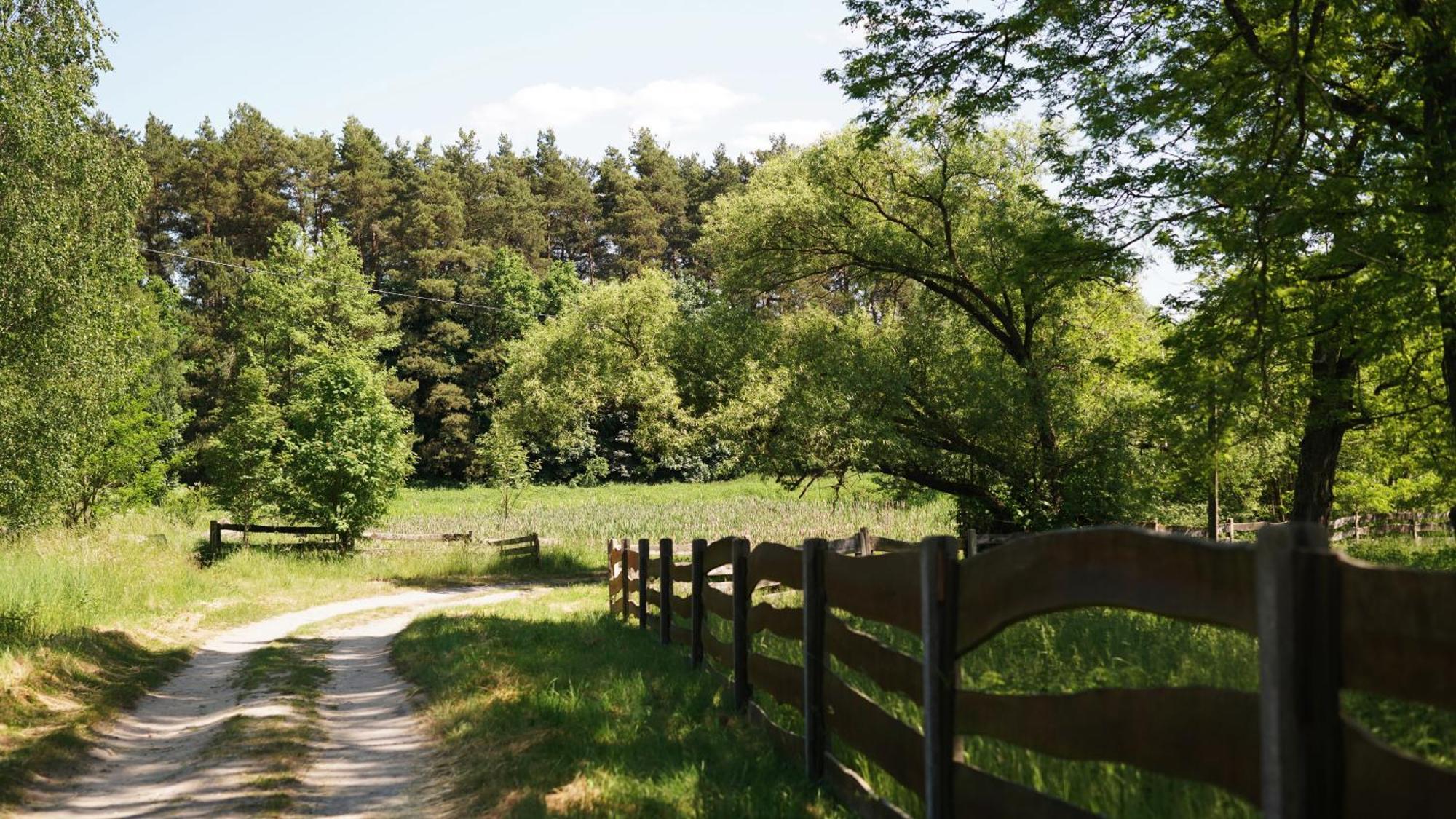 Domki Nad Pilica Krzetow Exterior photo